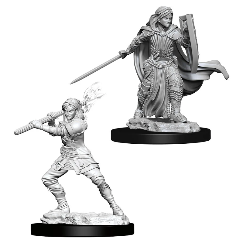 D&D Minis: Wave 10- Female Human Paladin