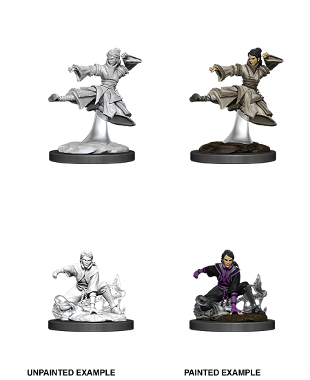 D&D Minis: Wave 11 - Female Human Monk