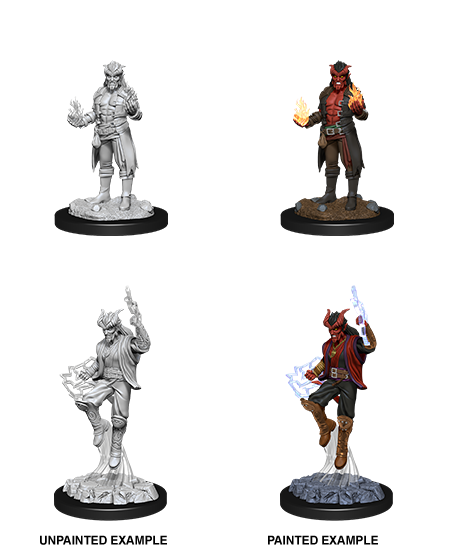 D&D Minis: Wave 12 - Male Tiefling Sorcerer