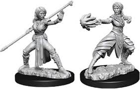 D&D Minis: Wave 10- Female Half-Elf Monk