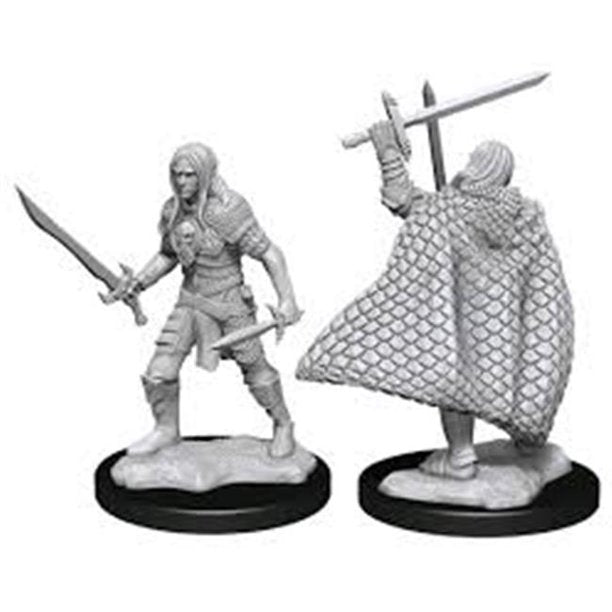 Pathfinder Minis: Wave 13 - Elf Fighter Male