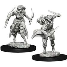 D&D Nolzur`s Unpainted Minis: Tiefling Female Rogue