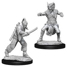 D&D Nolzur`s Unpainted Minis: Male Human Monk