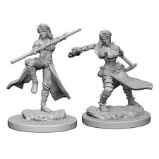 D&D Nolzur`s Unpainted Minis: Human Female Monk