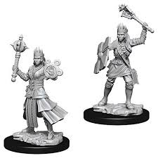 D&D Nolzur`s Unpainted Minis: Female Human Cleric