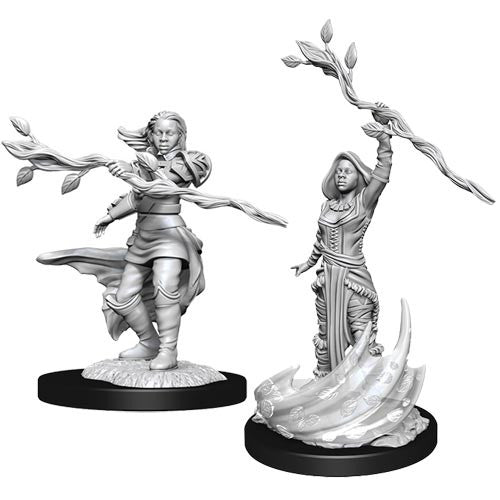 D&D Minis: Wave 14 - Human Druid Female