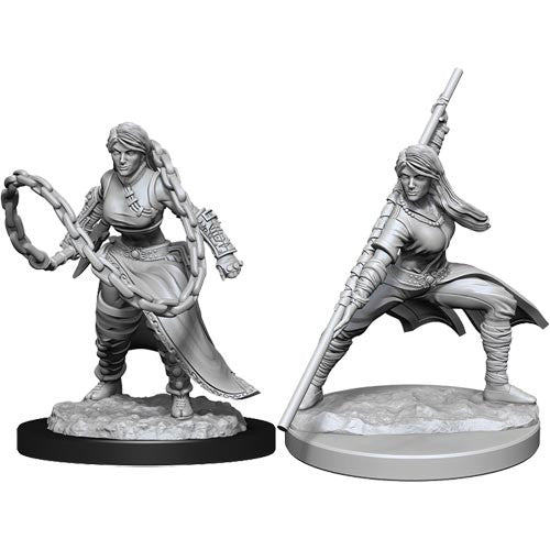 D&D Minis: Wave 14 - Human Monk Female