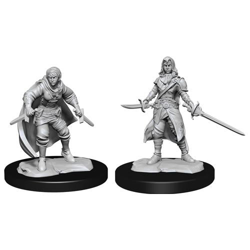 D&D Minis: Wave 14 - Half-Elf Rogue Female