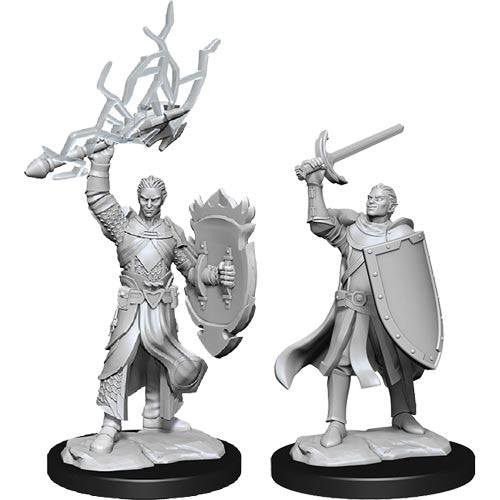 D&D Minis: Wave 14 - Half-Elf Paladin Male