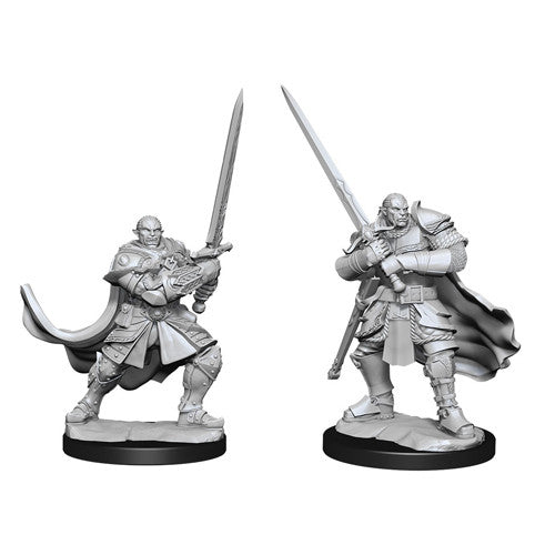 D&D Nolzur's Marvelous Unpainted Minis: W15 Male Half-Orc Paladin