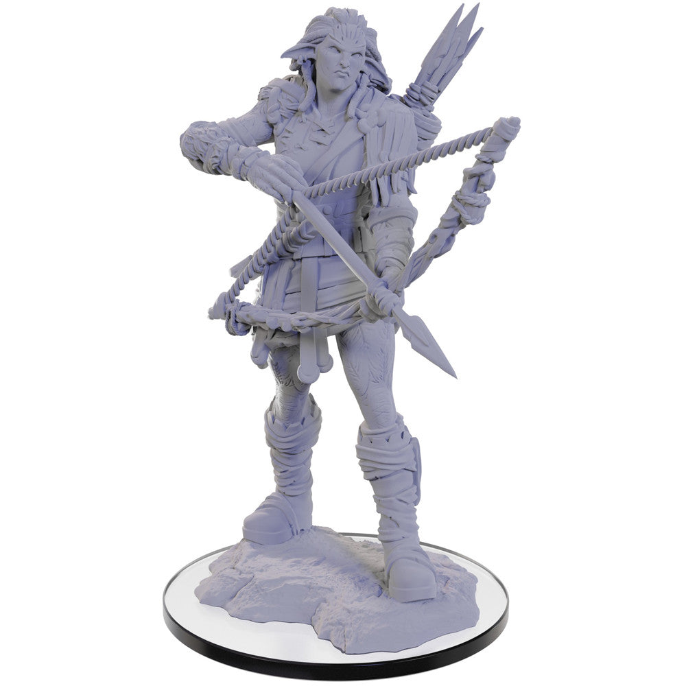 Pathfinder Deep Cuts Miniatures: Wood Giant